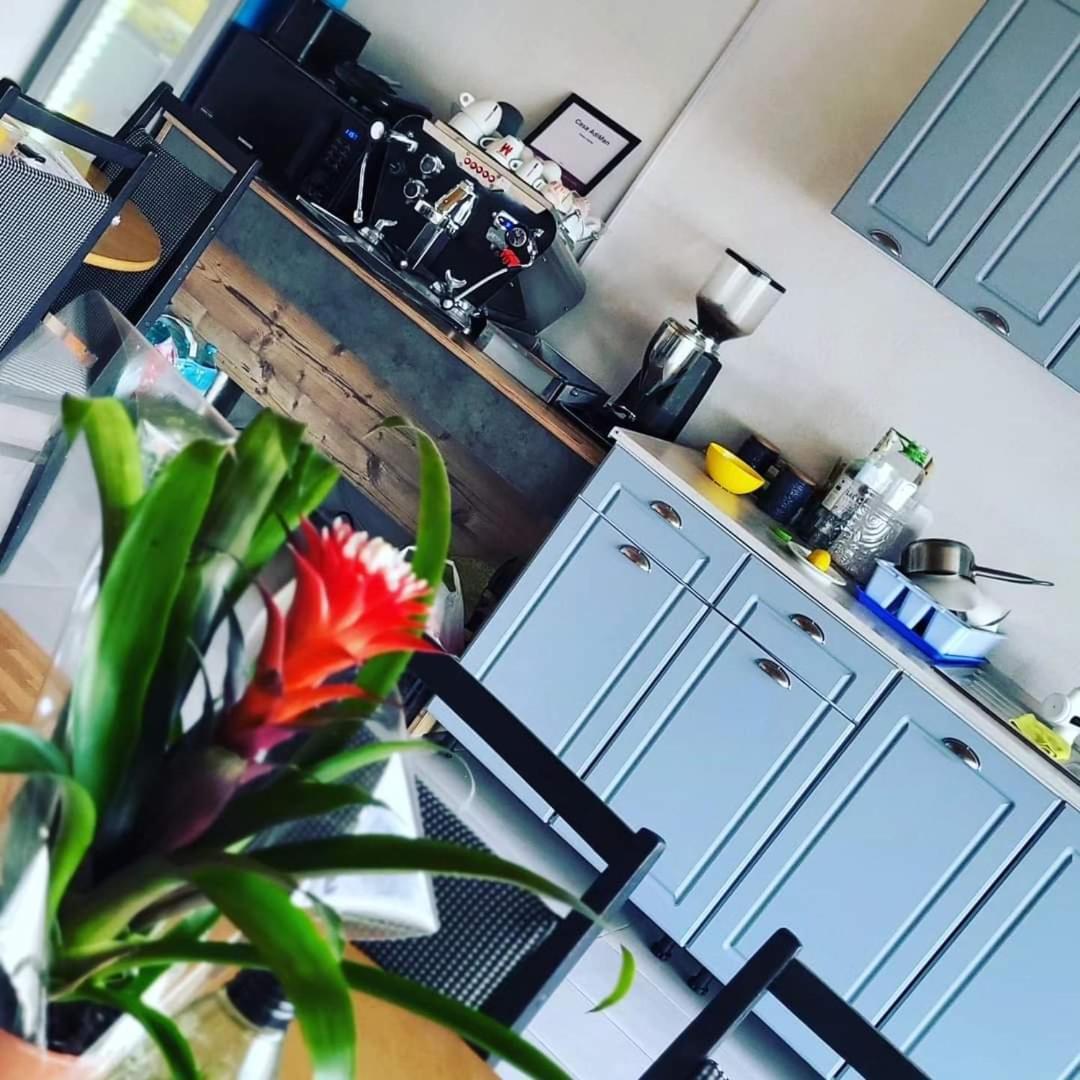 Hotel Casa Adiman Vama Veche Zewnętrze zdjęcie
